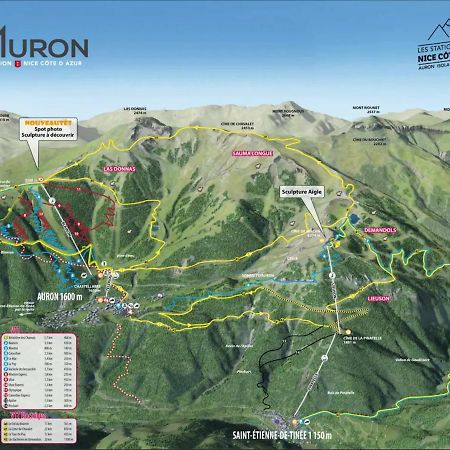 Studio Les 3 Lys Auron Extérieur photo